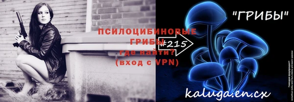 ПСИЛОЦИБИНОВЫЕ ГРИБЫ Осташков