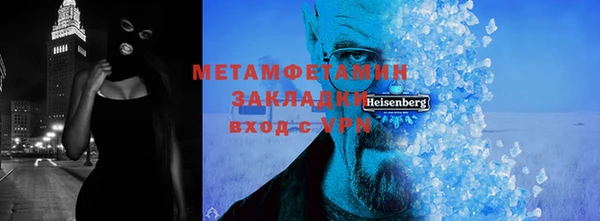 прущие грибы Надым