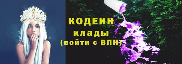 прущие грибы Михайловка