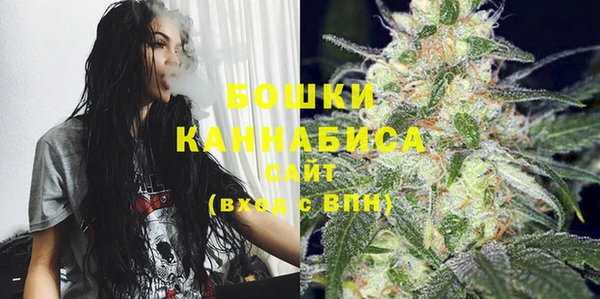 прущие грибы Надым