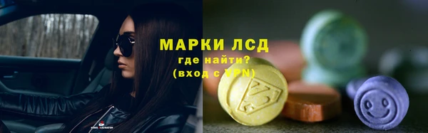 прущие грибы Михайловка