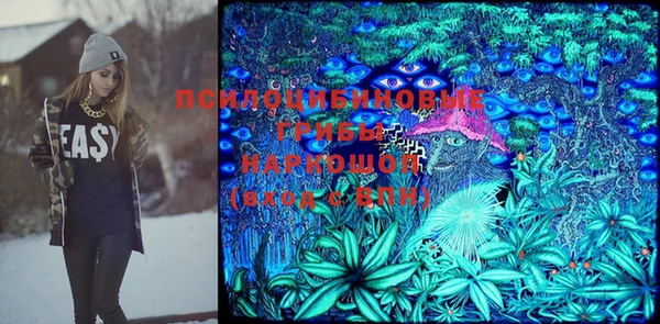 прущие грибы Надым