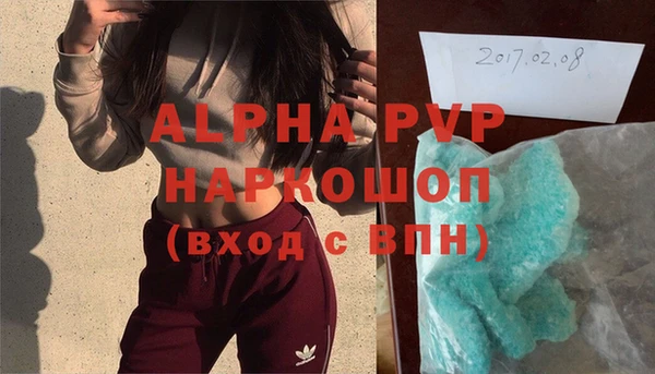 прущие грибы Надым