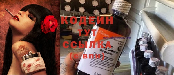 прущий лед Семёнов