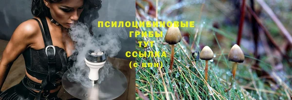 мяу мяу мука Снежинск