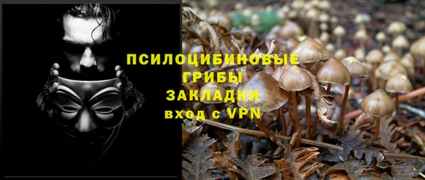 apvp Осинники