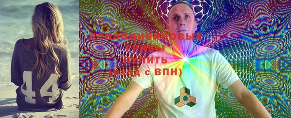 прущие грибы Надым