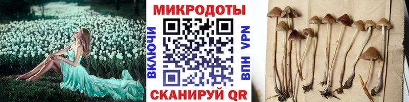 где найти наркотики  Невельск  Псилоцибиновые грибы GOLDEN TEACHER 