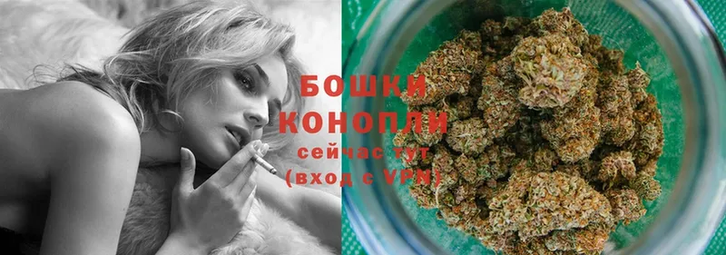 продажа наркотиков  Невельск  Шишки марихуана SATIVA & INDICA 